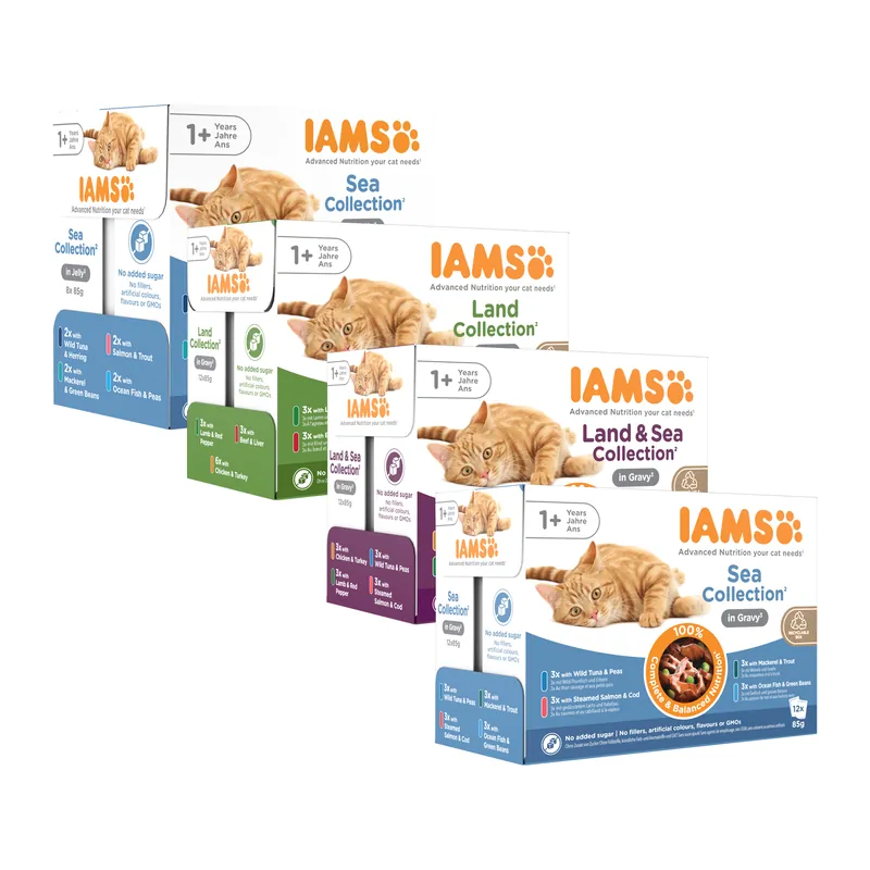 IAMS Delights Adult Cat Natvoer Weekendaanbieding