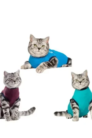 Jacketz Medical Body Suit Kat Betrouwbaar