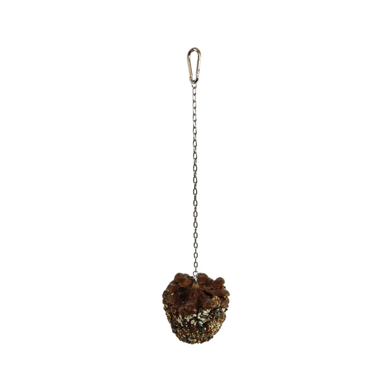 Speciale Aanbieding JR Farm Dennenappel met Zaad