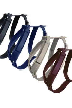Kentucky Dog Harness Active Velvet Seizoensaanbieding