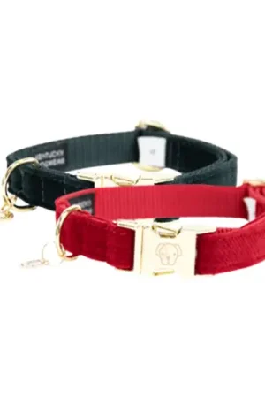 Seizoensaanbieding Kentucky Dogwear Corduroy Hondenhalsband