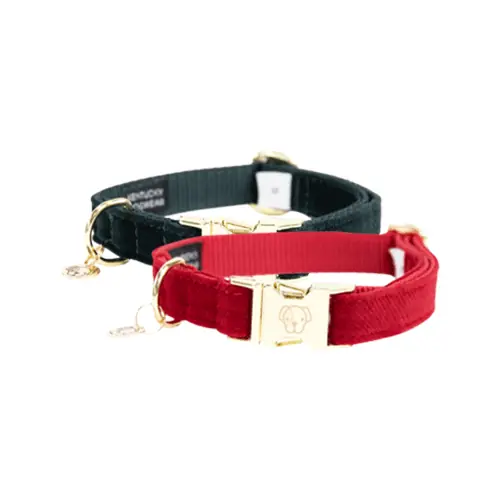 Seizoensaanbieding Kentucky Dogwear Corduroy Hondenhalsband