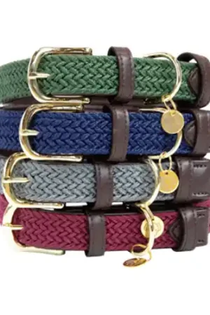 Betrouwbaar Kentucky Dogwear Nylon Hondenhalsband