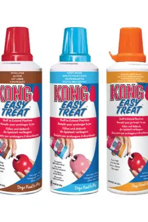 Snelle Levering KONG Easy Treat