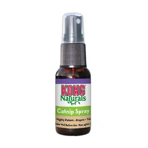 Flitsaanbieding KONG Kat - Catnip Spray