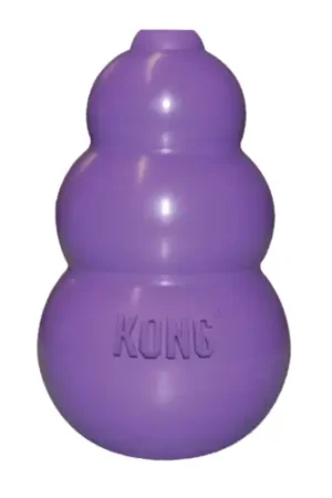 KONG Kat - Kitty KONG Laatste Versie