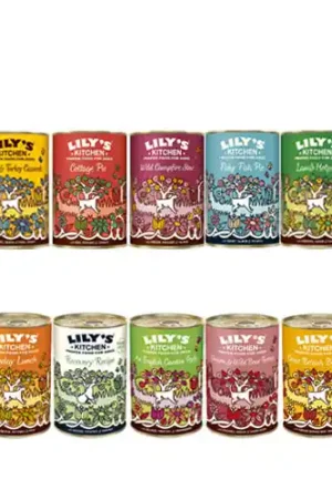 Superprijs Lily‘s Kitchen Hondenvoer - Blik