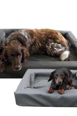 Lounge Dogbed Aanbieding