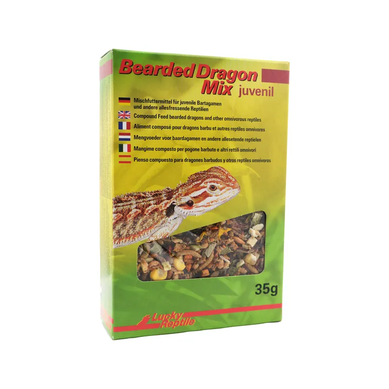Aanbieding Lucky Reptile Bearded Dragon Mix Juvenile