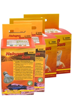 Seizoensaanbieding Lucky Reptile Halogen Sun