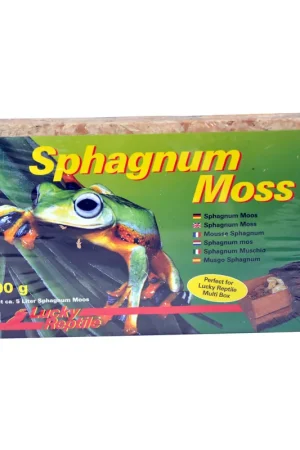 Hoge Kwaliteit Lucky Reptile Sphagnum Moss