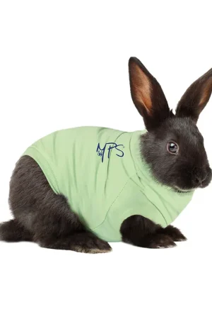 Medical Pet Shirt Konijn Actieprijs