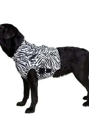 Actieprijs Medical Pet Top Shirt - Zebraprint