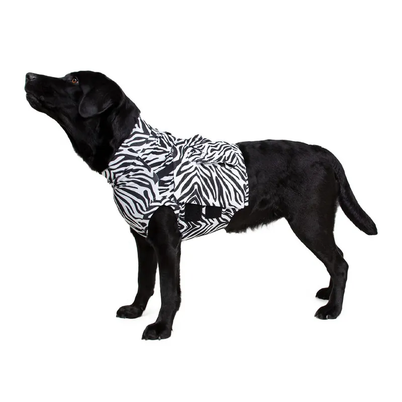 Actieprijs Medical Pet Top Shirt - Zebraprint