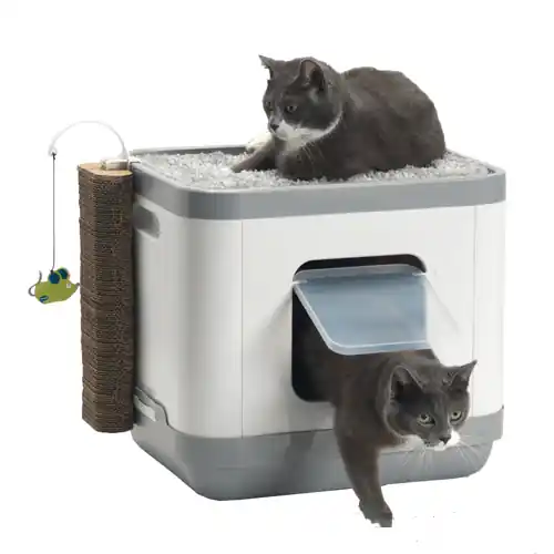 Moderna Cat Concept Korting