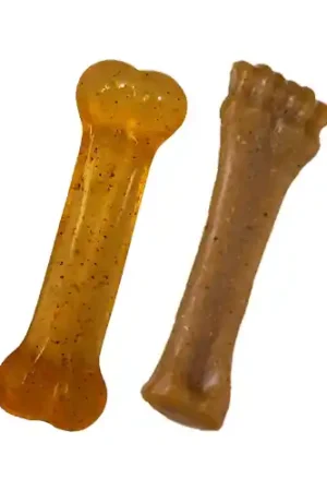 Nylabone Puppy Bone Tijdelijk Beschikbaar