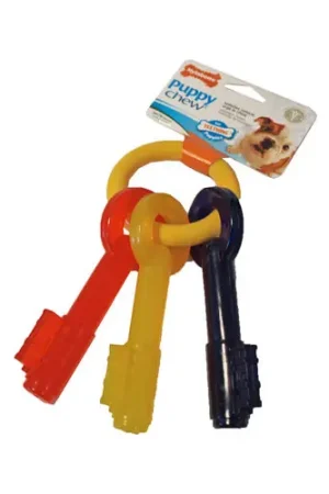Nylabone Teething Puppy Keys Exclusieve Aanbieding