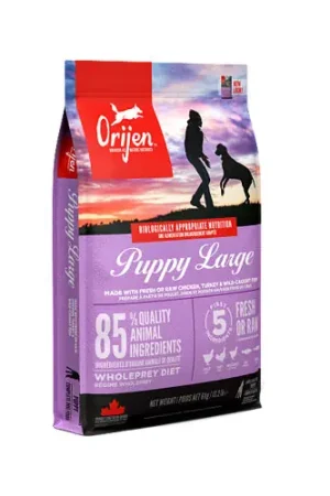Orijen Puppy Large Breed Whole Prey Alleen Vandaag