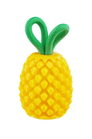 Outward Hound Dental Pineapple Voordeelprijs