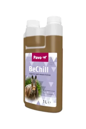Pavo BeChill Superprijs