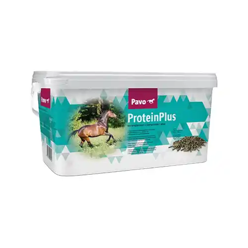 Voordeelprijs Pavo ProteinPlus