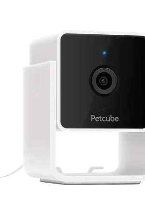 Populair Petcube Cam