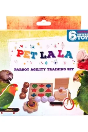Petlala Papegaai Agility Training Set Lage Prijs
