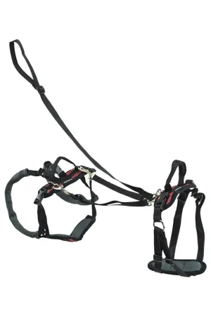 Weekendaanbieding PetSafe Carelift - Draagsysteem voor de hond