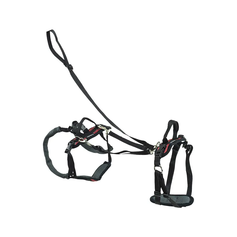 Weekendaanbieding PetSafe Carelift - Draagsysteem voor de hond