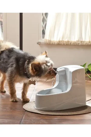Petsafe Drinkwell Mini Drinkfontein - 1.2 L Finale Uitverkoop