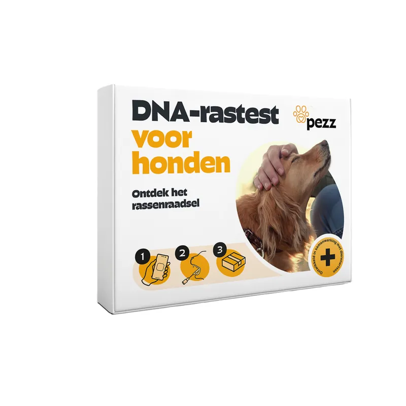 Bestseller Pezz DNA Rastest Hond