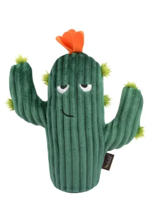 Gecertificeerd P.L.A.Y. Pet Blooming Buddies - Prickly Pup Cactus