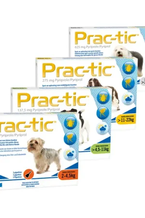 Prac-tic Uitverkoop