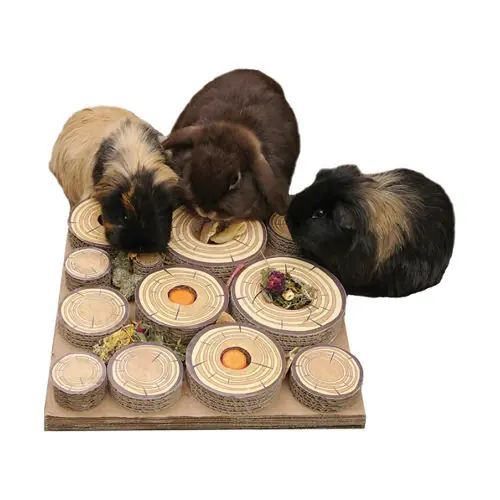 Rosewood Maze-A-Log Treat Challenge Shop Nu