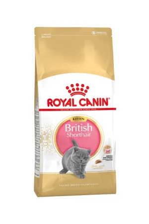 Royal Canin British Shorthair Kitten - Kattenvoer Betrouwbaar