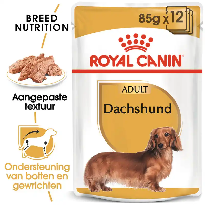Royal Canin Dachshund Adult Wet - Hondenvoer Goedkoop