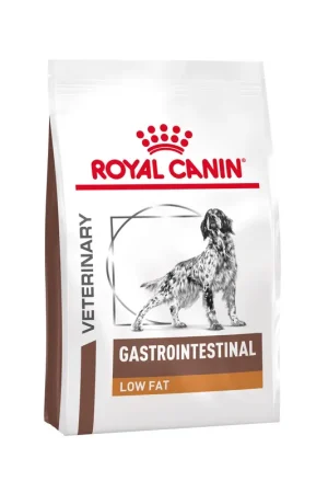 Alleen Vandaag Royal Canin Gastrointestinal Low Fat Hond