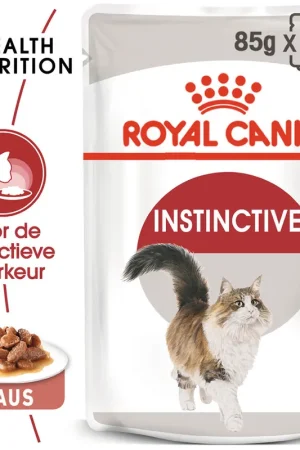 Seizoensaanbieding Royal Canin Instinctive in Gravy - Kattenvoer