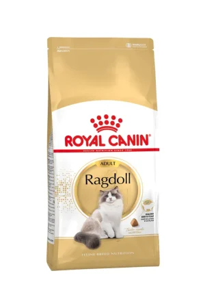 Nieuw Royal Canin Ragdoll Adult - Kattenvoer