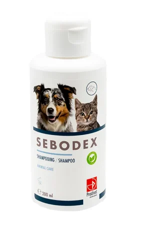 Sebodex Veilige Betaling