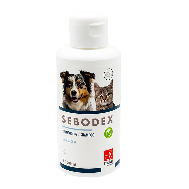 Sebodex Veilige Betaling