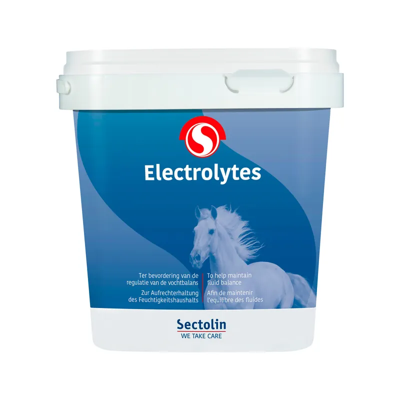 Sectolin Equivital Electrolyten Koopje