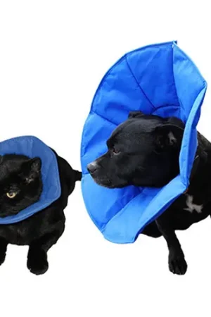 Express Levering SoftE Smart Collar