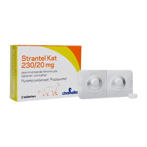 Premium Strantel Kat