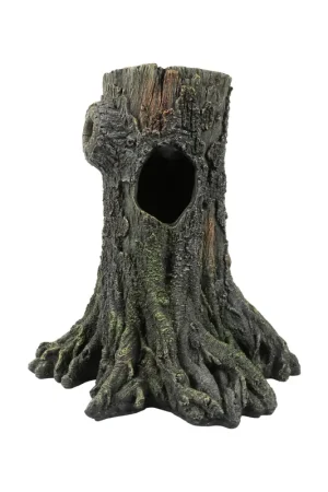 Terra Della Gecko Boom Favoriet
