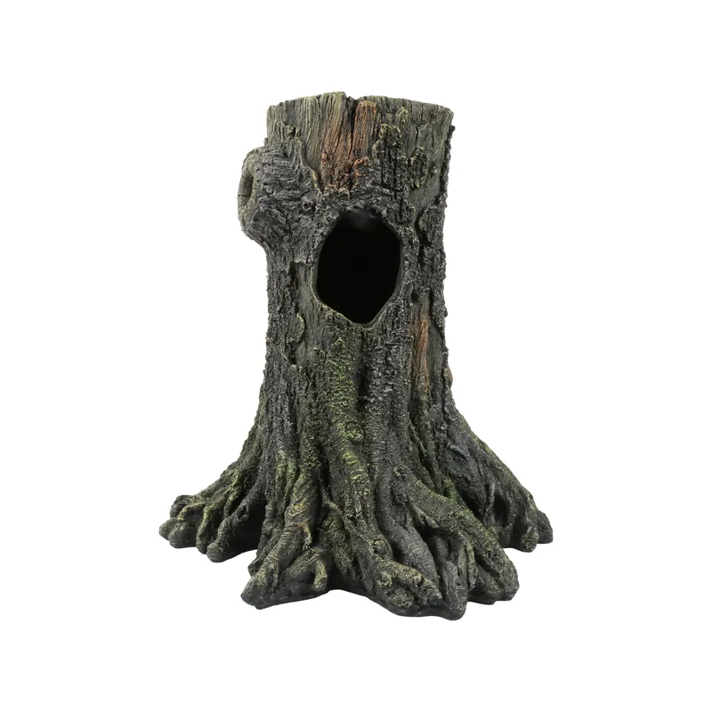 Terra Della Gecko Boom Favoriet