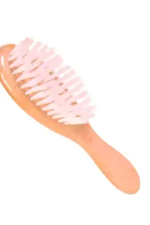 Nieuw Trixie Houten Borstel