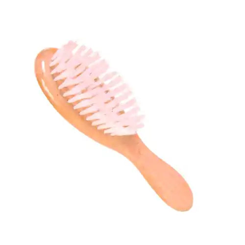 Nieuw Trixie Houten Borstel