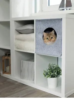 Trixie Kattenhuis Anton Bestel Nu