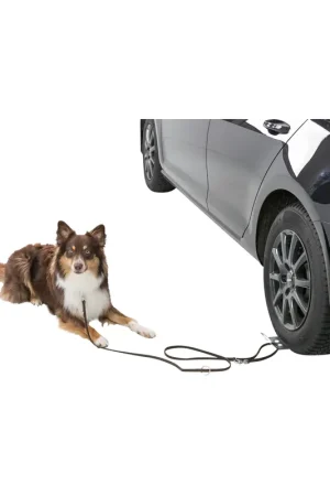 Korting Trixie Oprijplaat Auto